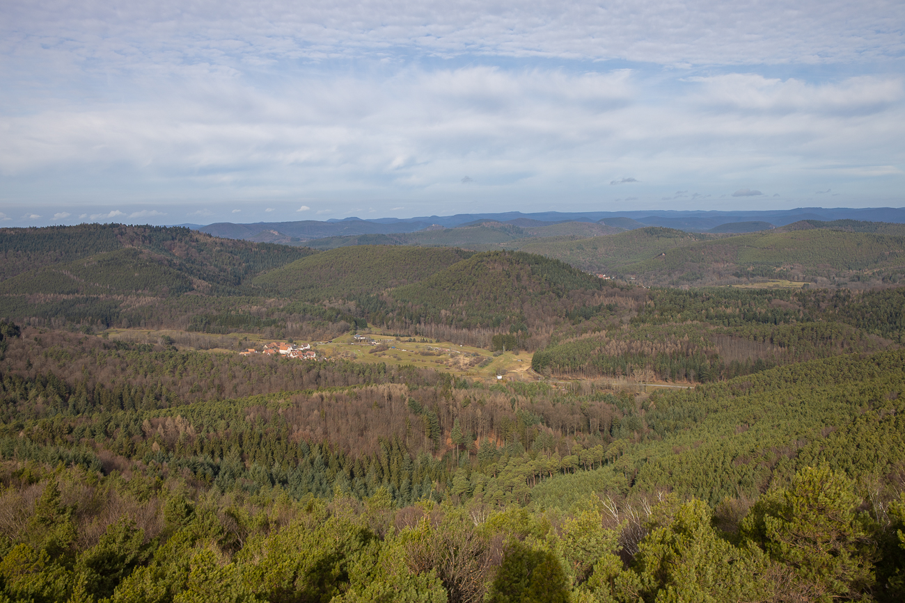 Blick vom Aussichtsturm