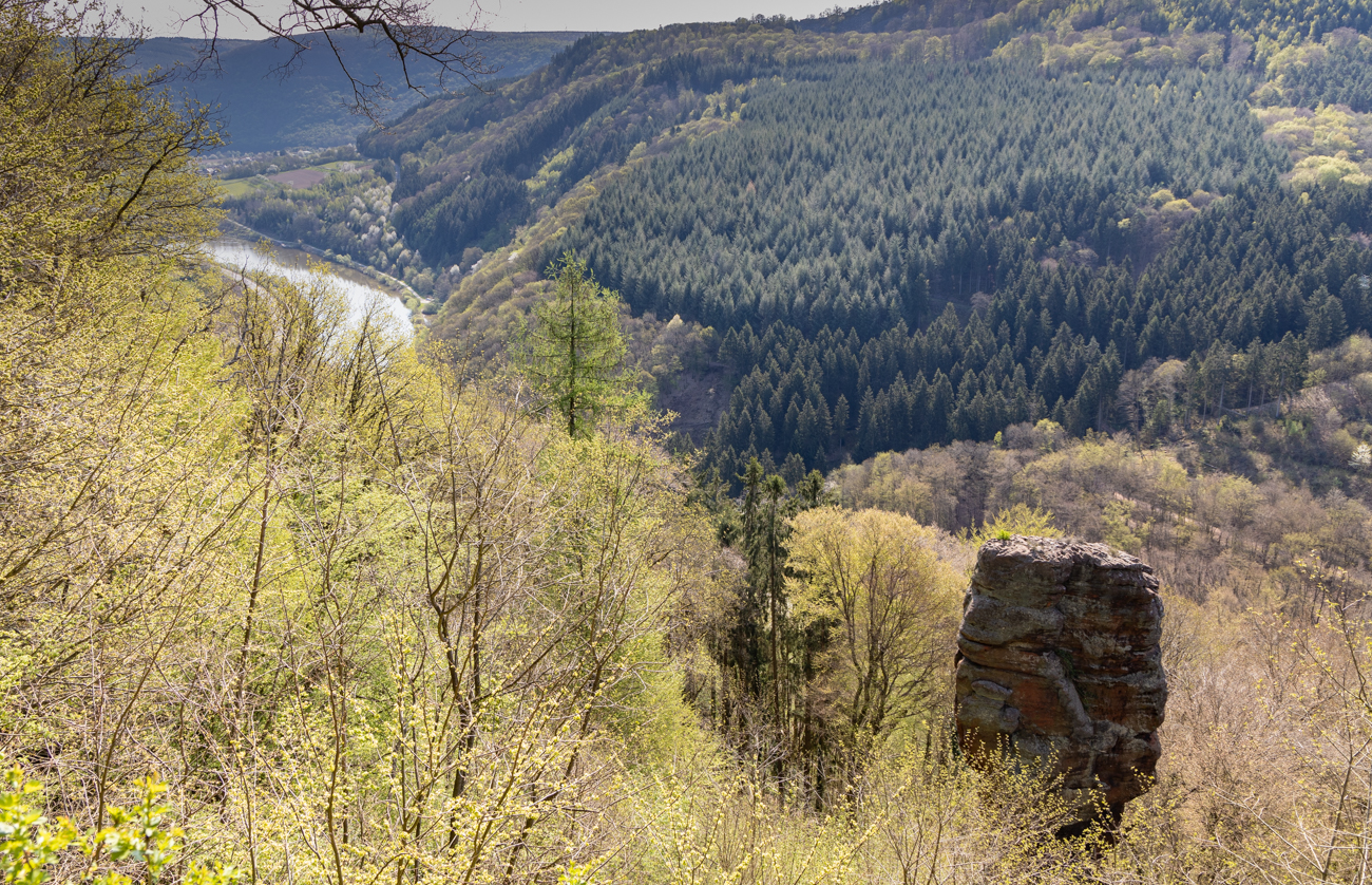 Blick vom Ausichtspunkt Elisensitz auf die Saar