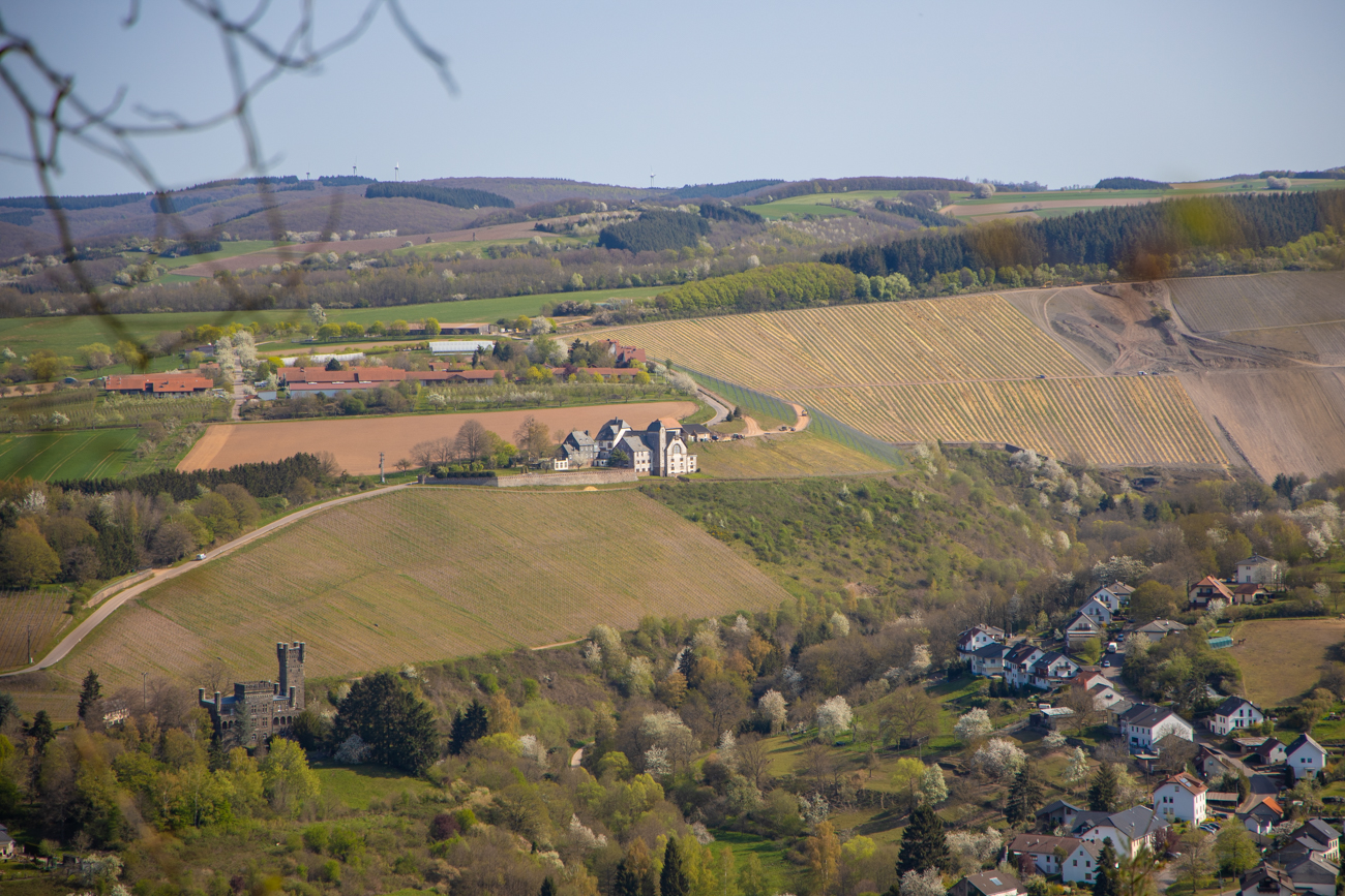 Blick auf Schloss Saarfels