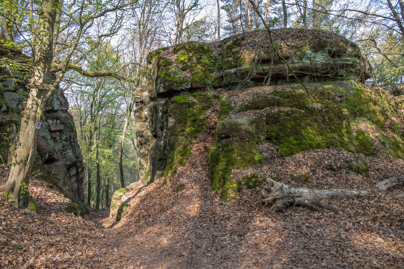 Das Römertor von oben ...