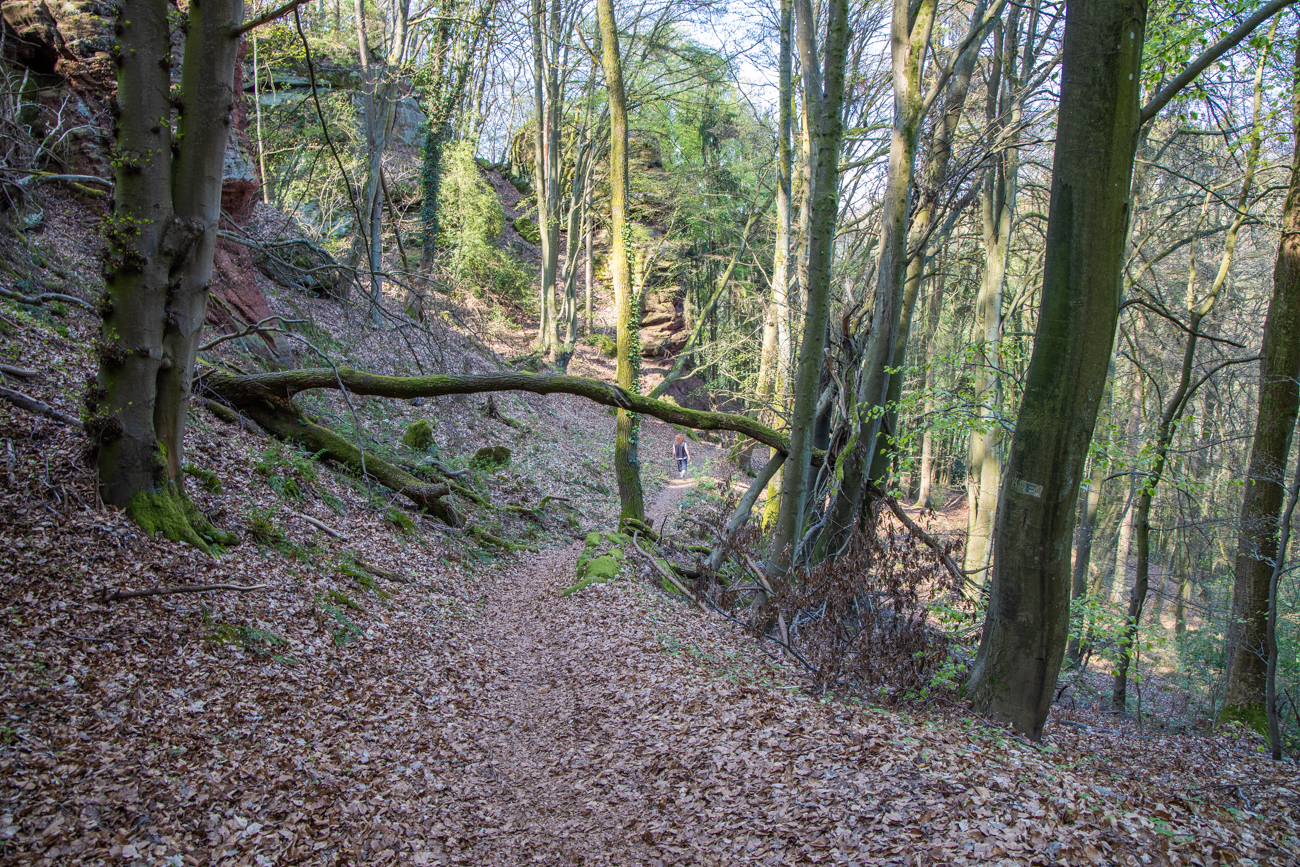 Nun geht es erstmal bergab