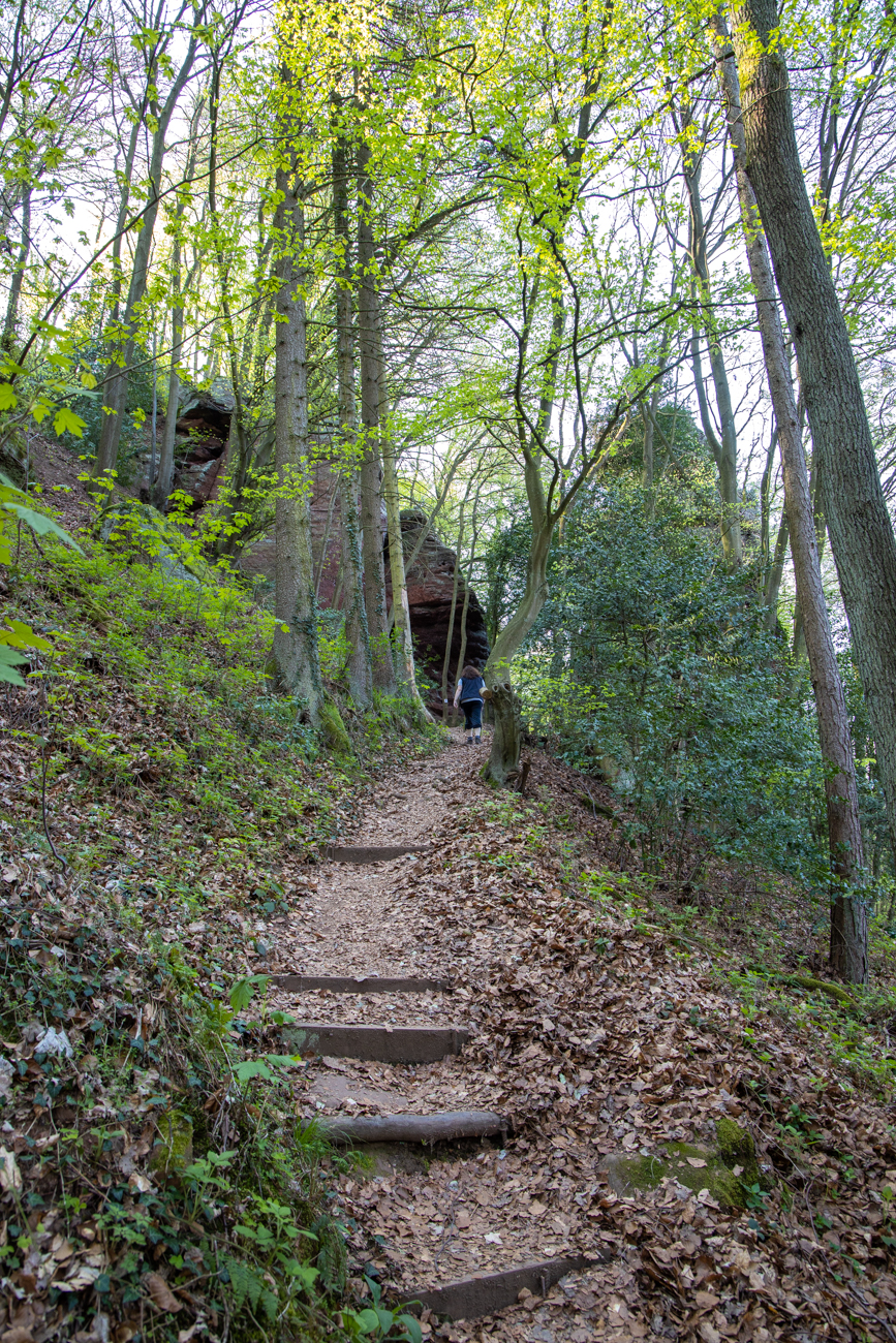 Wieder mal treppauf ...