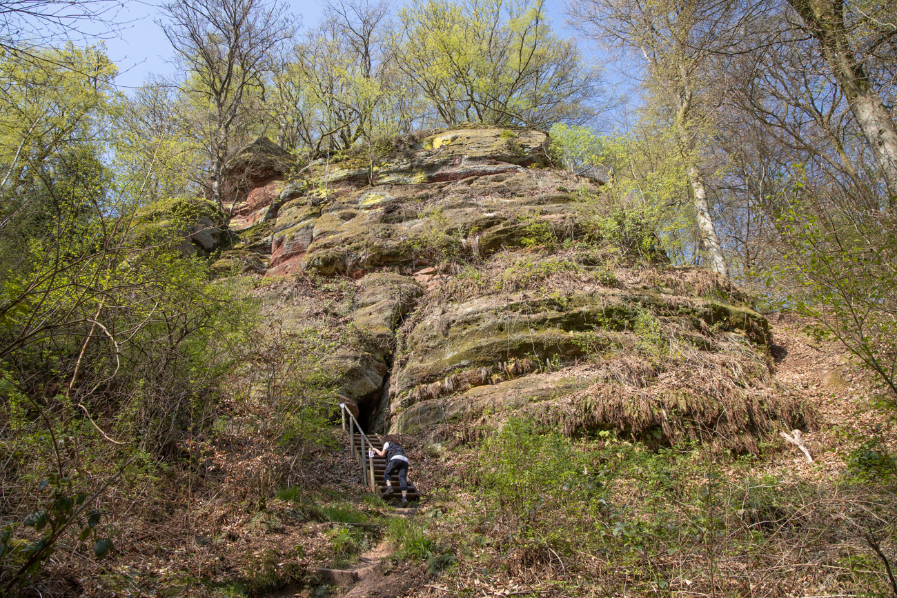 Der Weg glänzt durch einige Höhenmeter, im Wald ...
