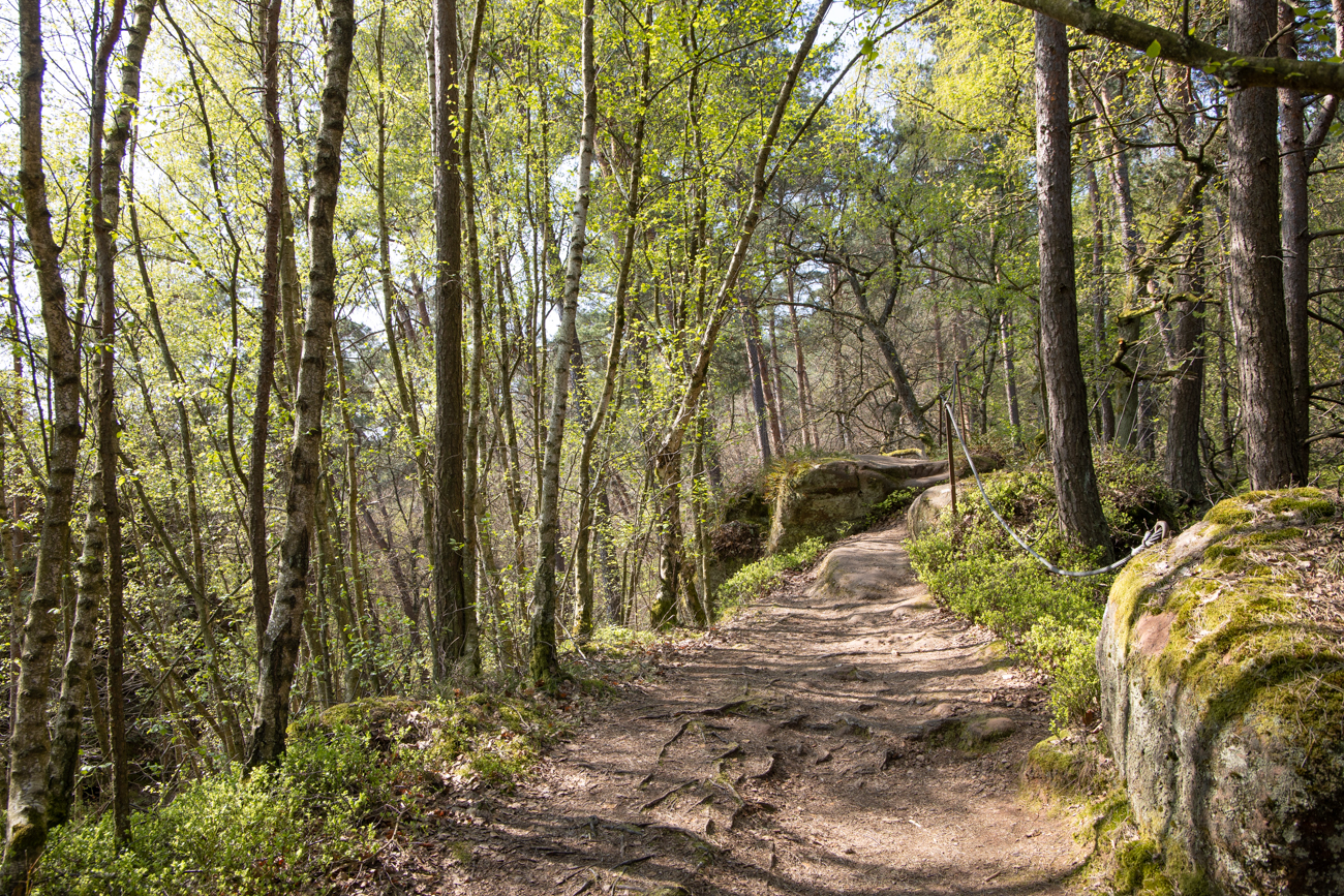 Auf dem Grat der Felsen