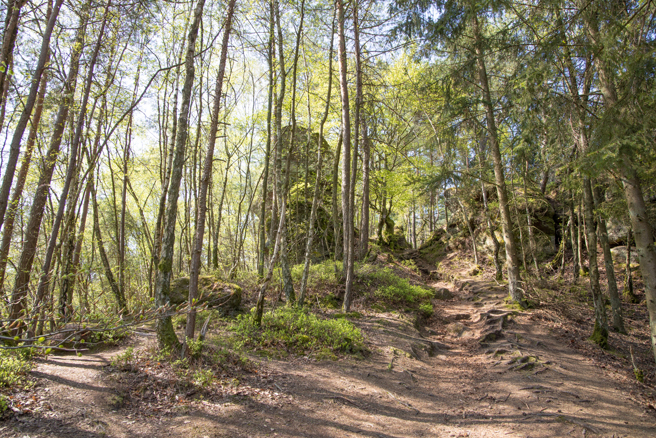 Uns reichen (momentan) die leichteren Wege durch den Sandstein