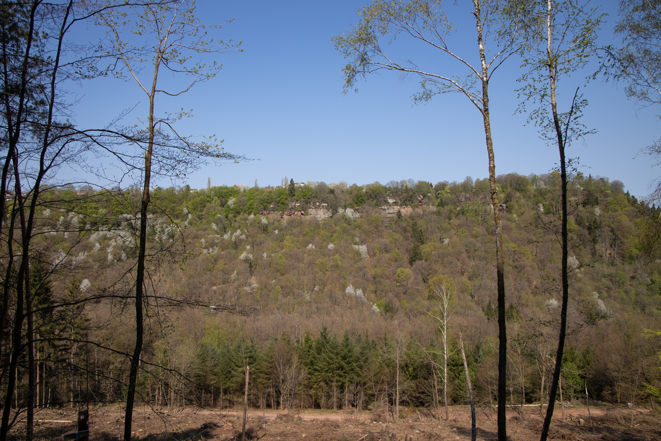 Dort oben irgendwo liegt das Ziel