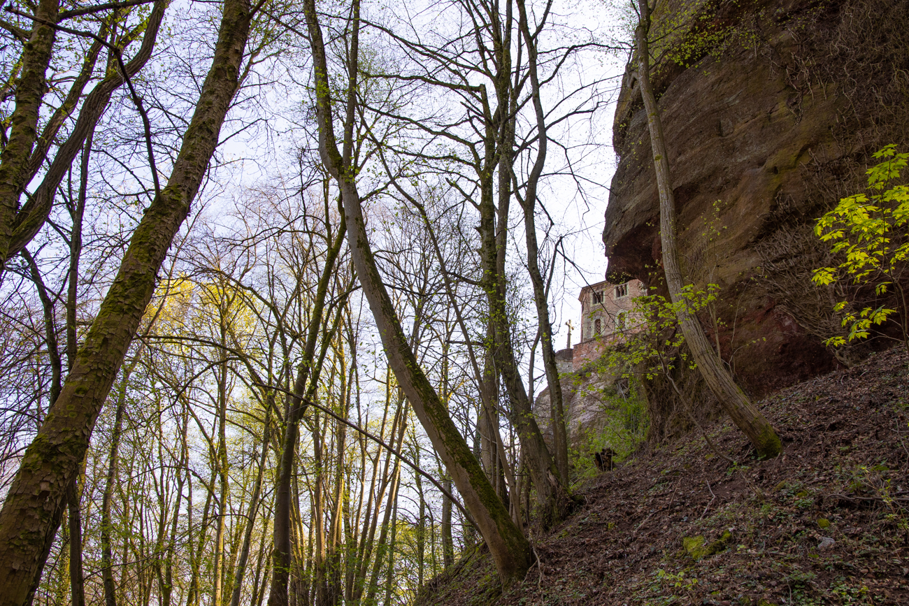 ... hier von der Rückseite