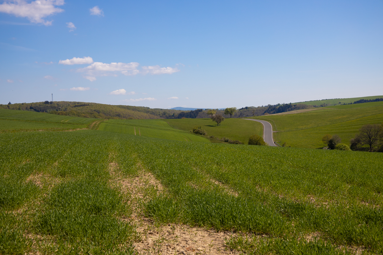 Landschaft um Herrstein