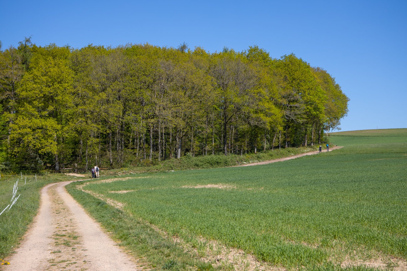 Es sind noch andere Wanderer unterwegs ...