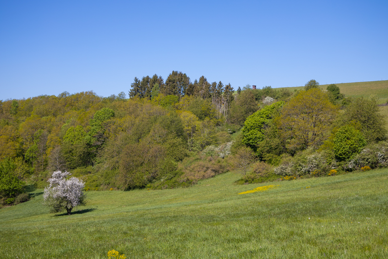 ... die das schöne Wetter nutzen