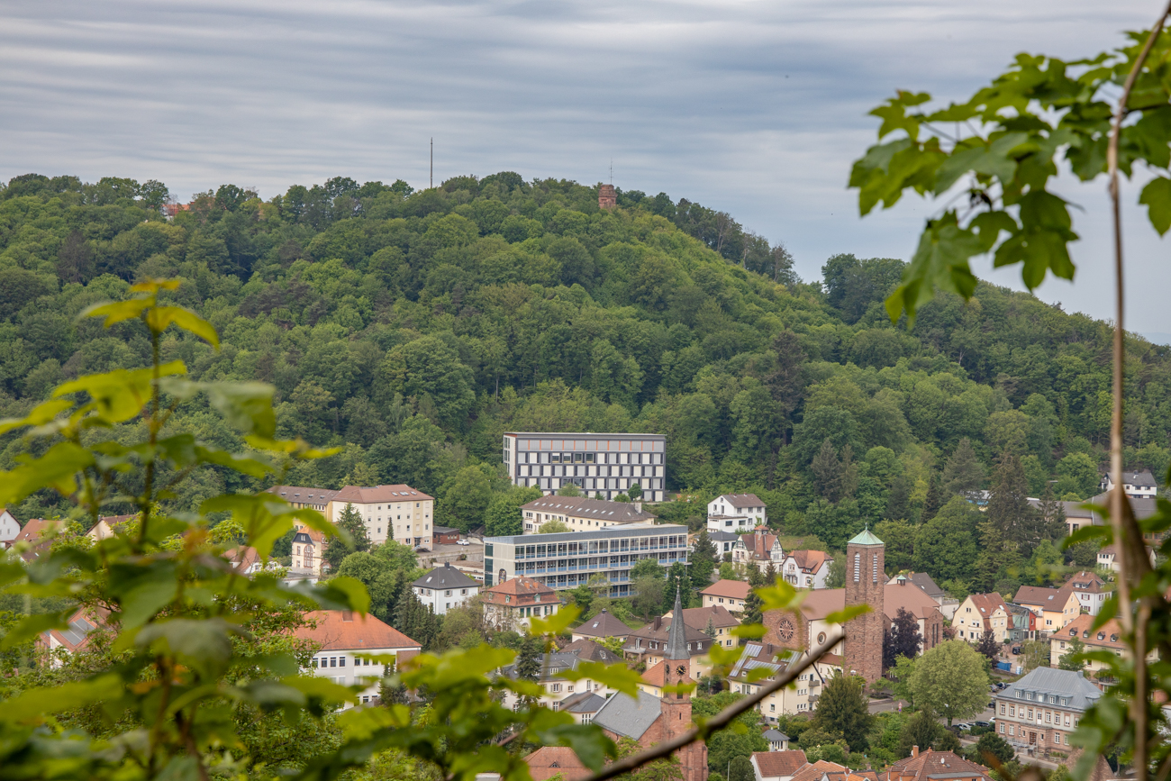 Blick über Landstuhl und zum Bismarckturm