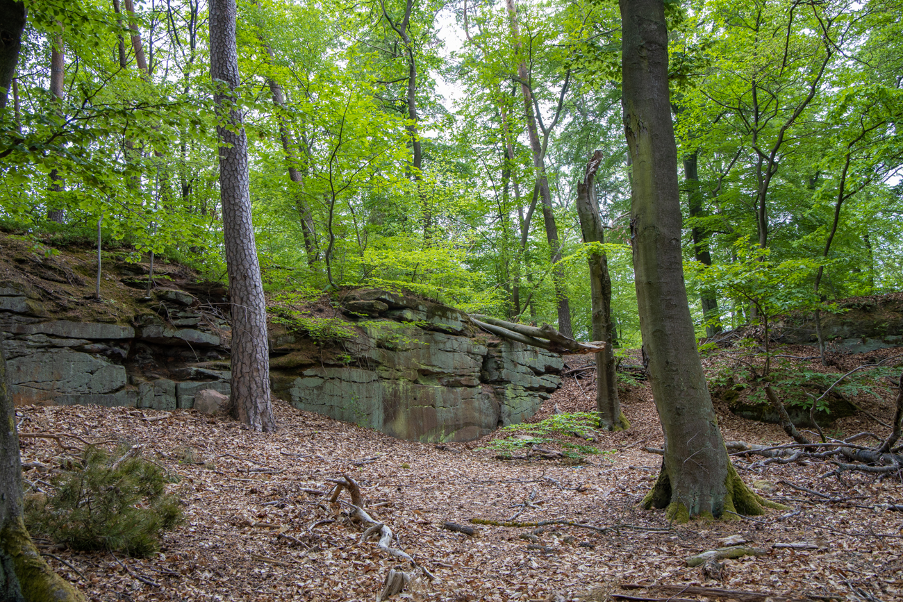 Felsen im Wald