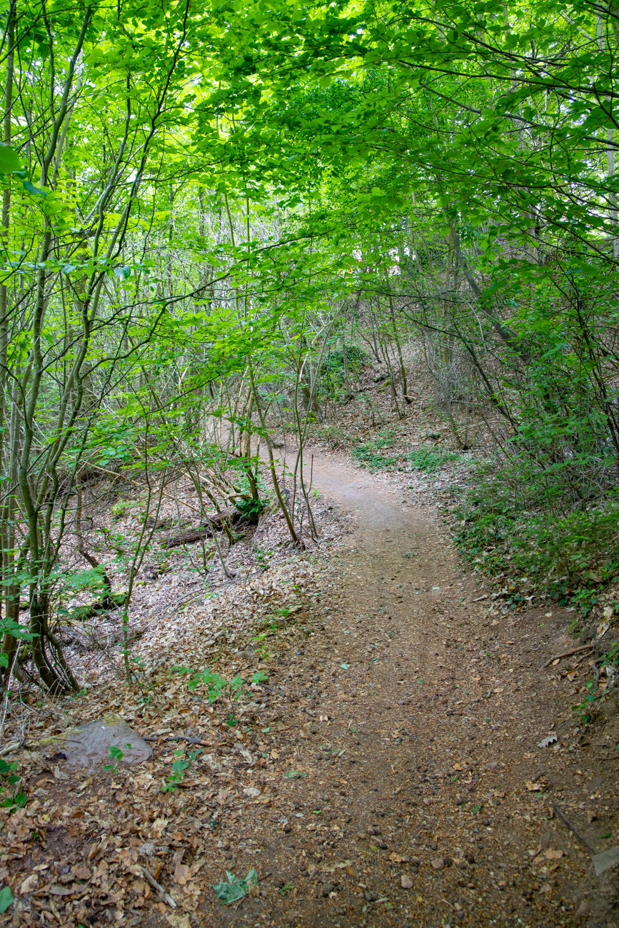 Weg zum Aussichtspunkt "Herrengärtchen"