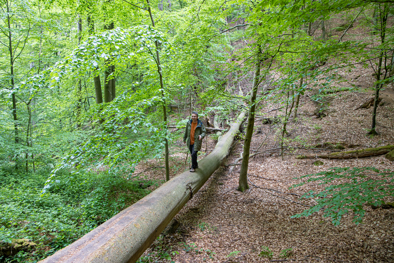 Im "Bärenloch" geht es über eine tiefe Schlucht ;-)