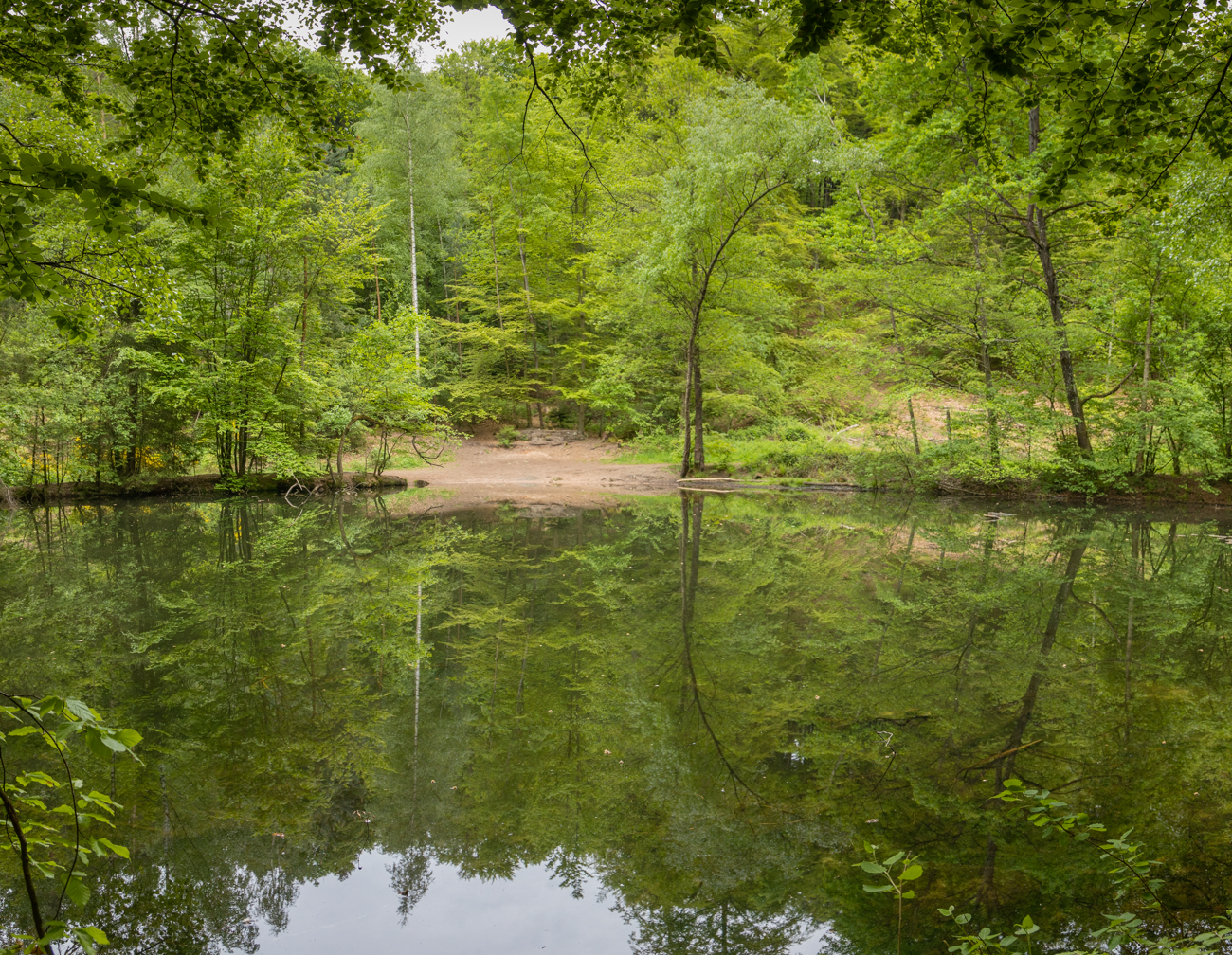 Einer der Teiche beim Bärenloch
