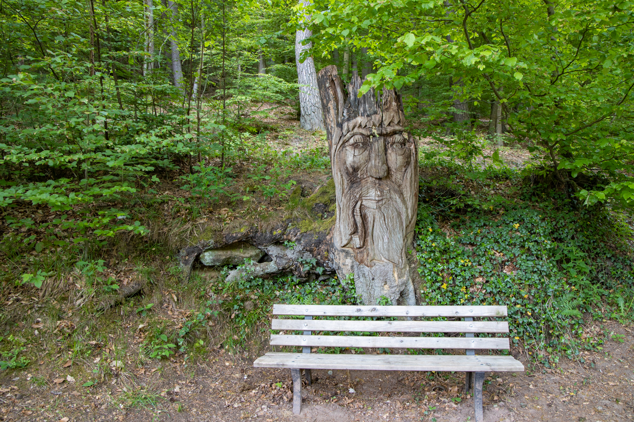 Da hätte der besser aufpassen müssen