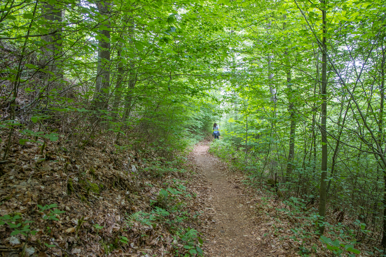 Weiter auf den schmalen Wegen