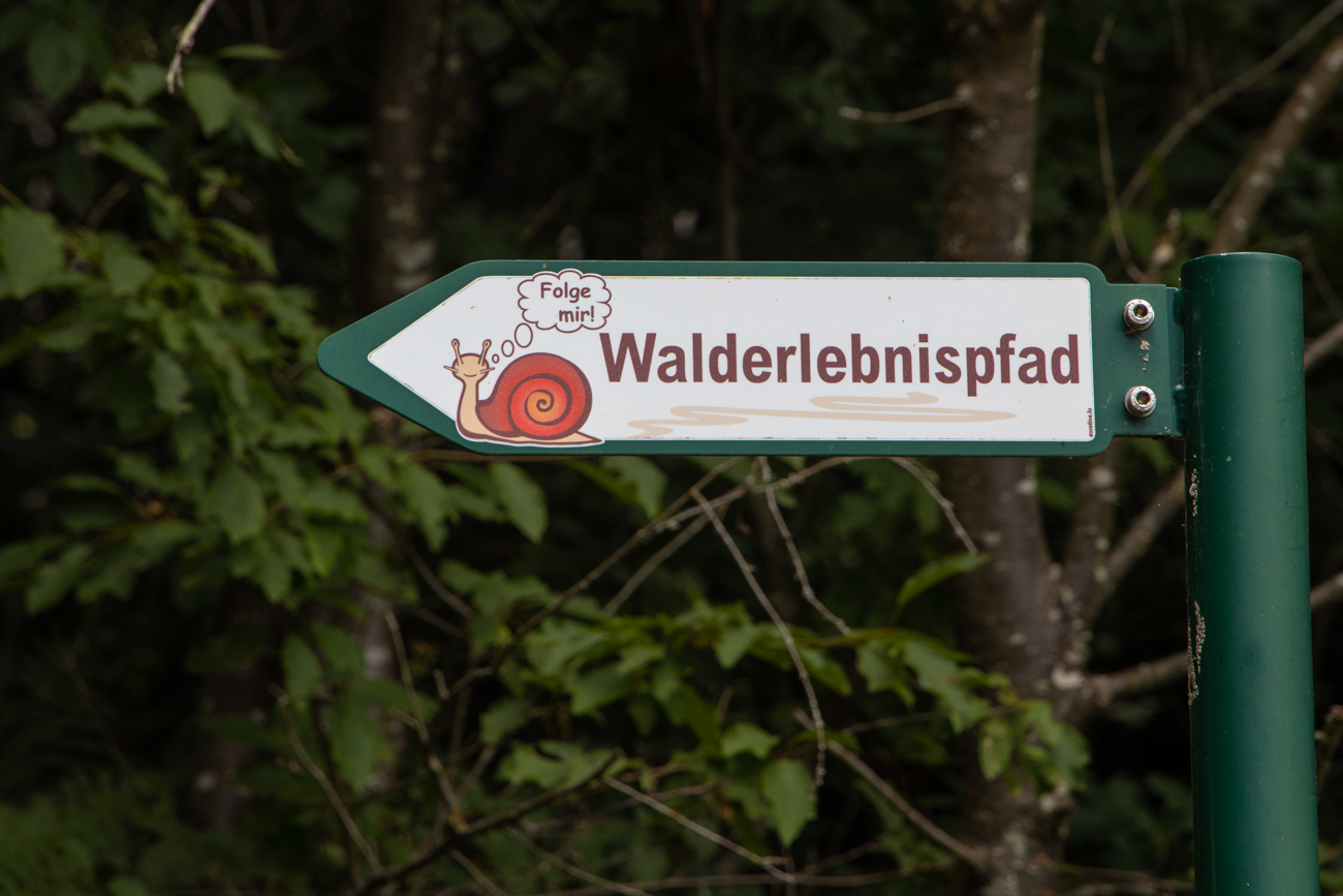 Hier geht es zum Walderlebnispfad
