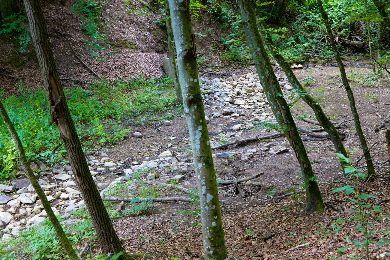 ... leider war der Bach fast trocken ...