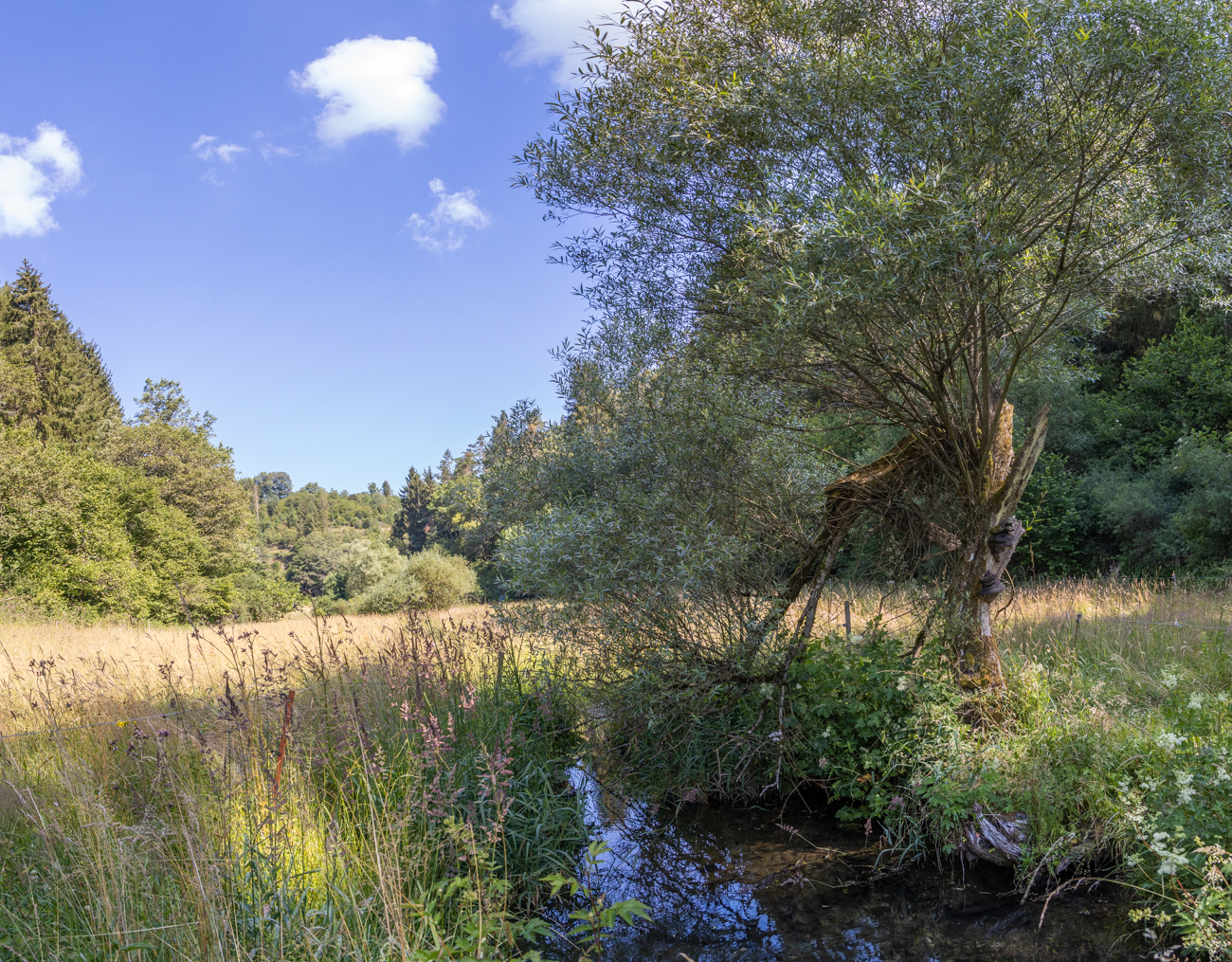 Endlich mal etwas Wasser zu sehen