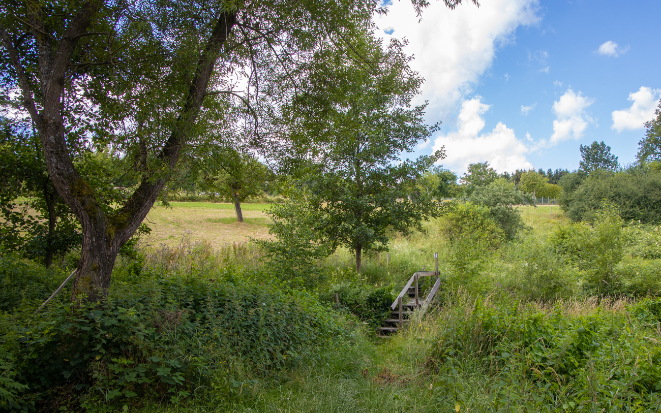 Brücke über einen zugewachsenen Bach