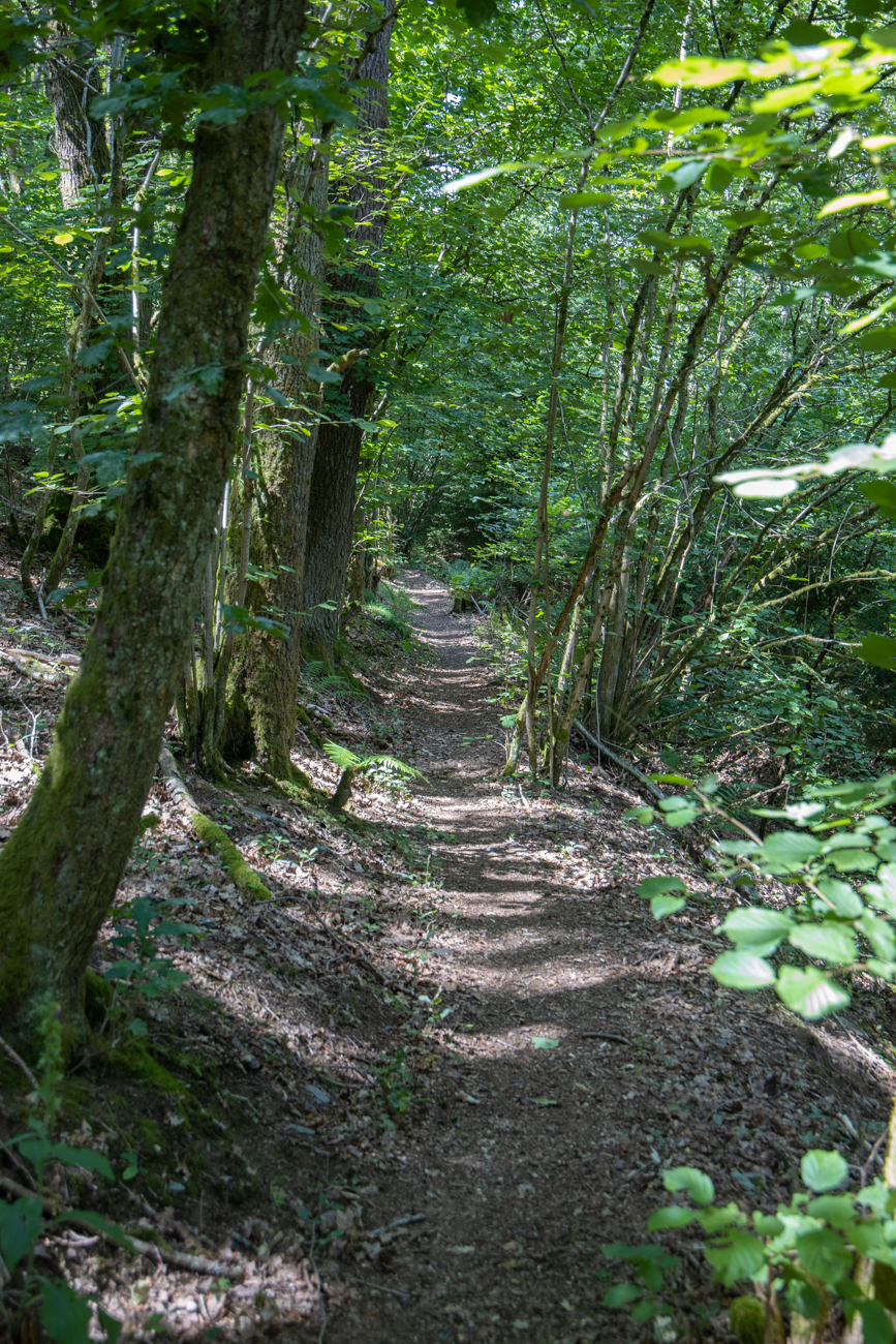 Durch ein Waldstück erreichen wir ...