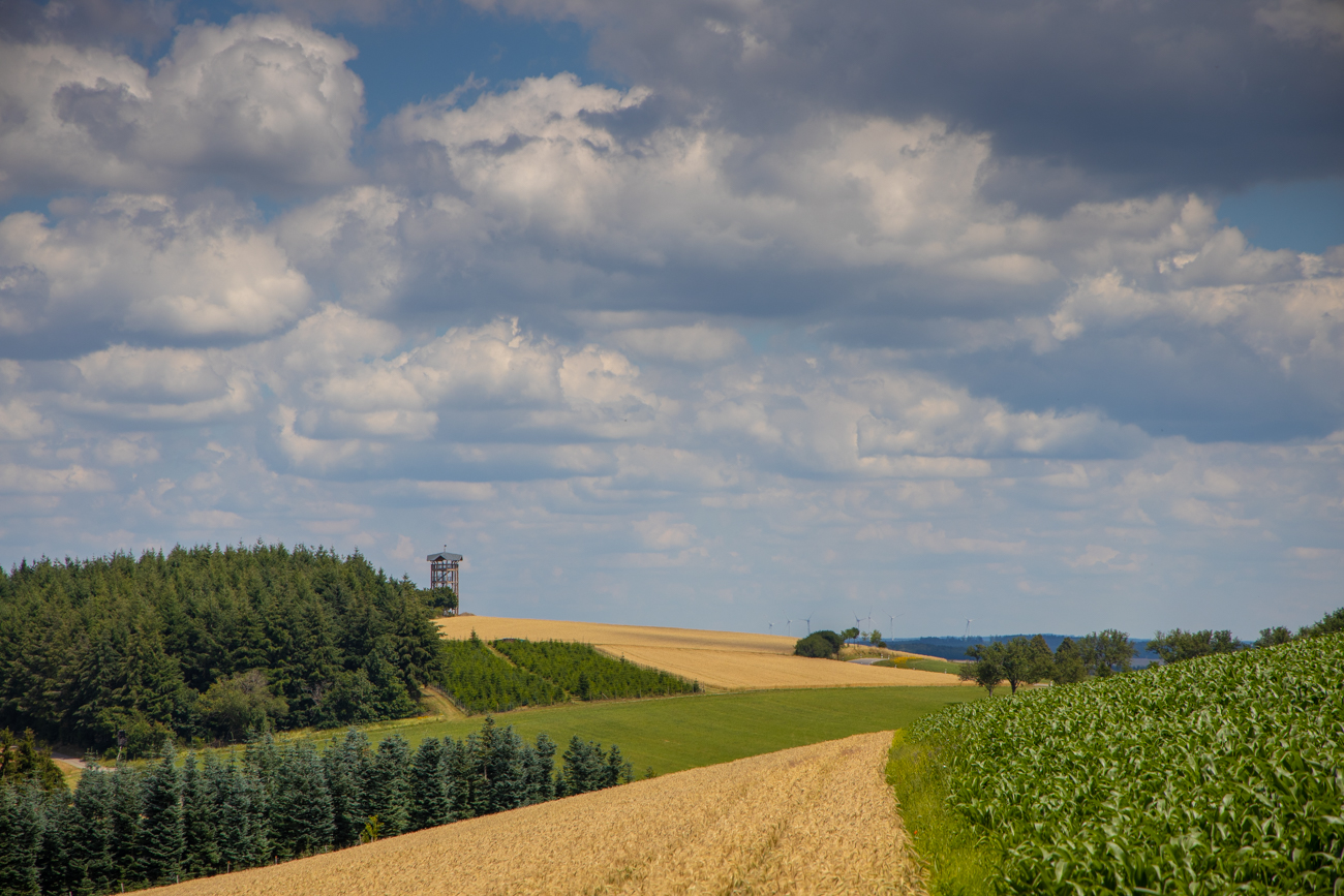 Blick zurück zum Turm