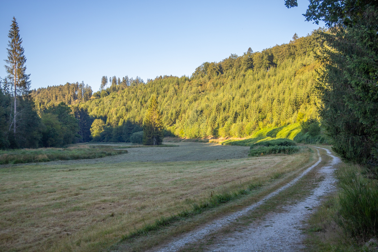 Früh am Morgen steht die Sonne noch flach