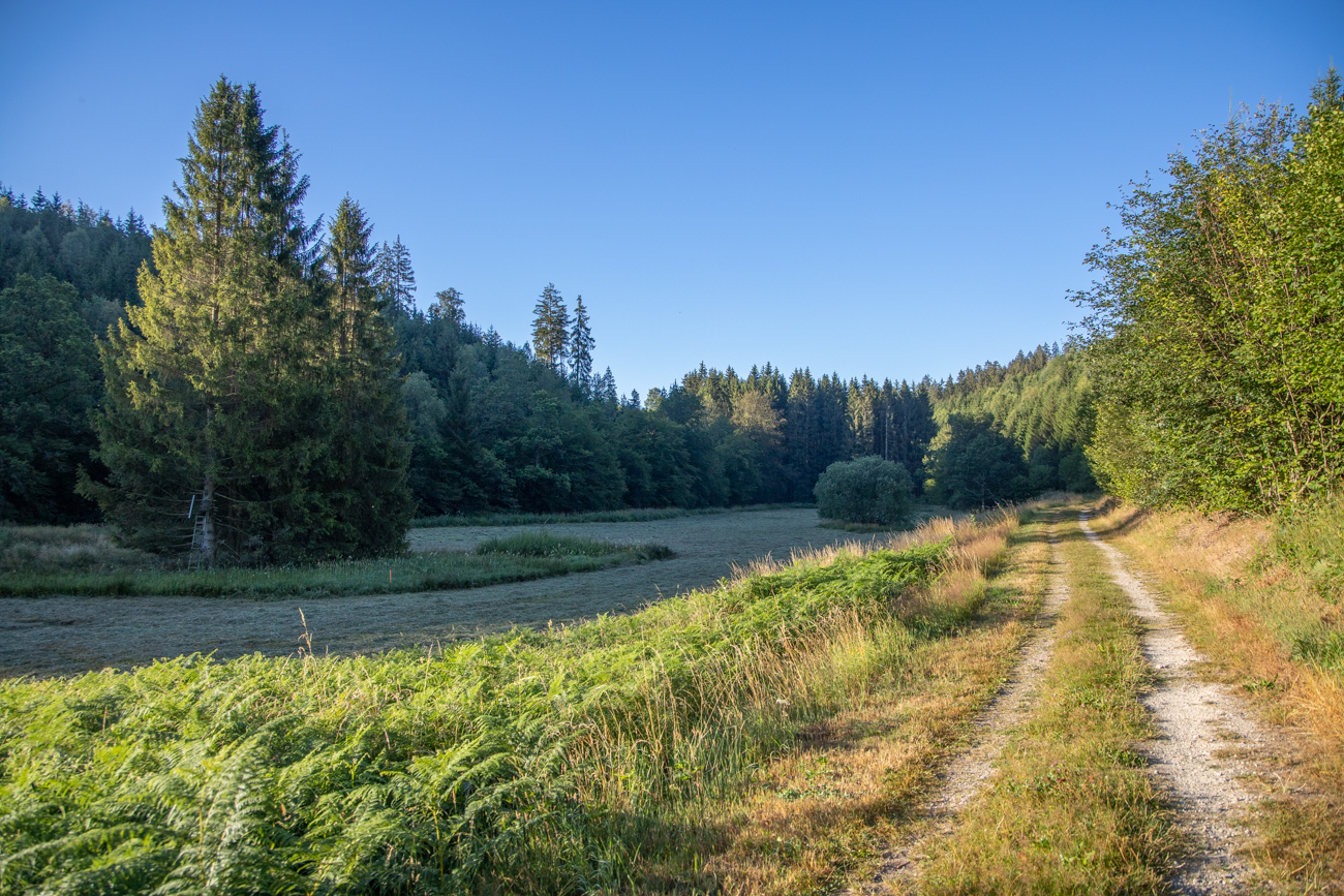 Weg durch die Niederungen