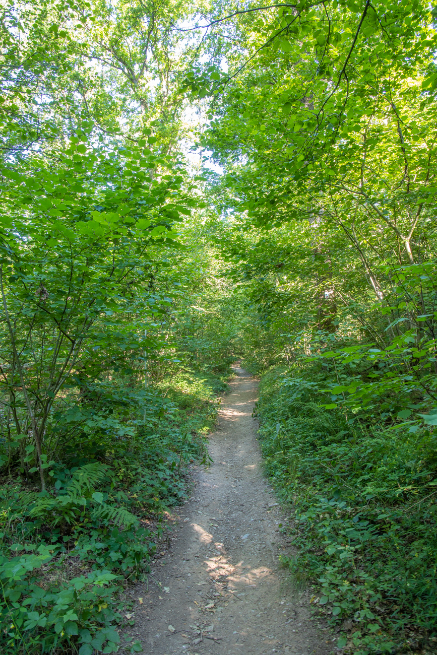 ... auf dem Frau-Holle-Weg