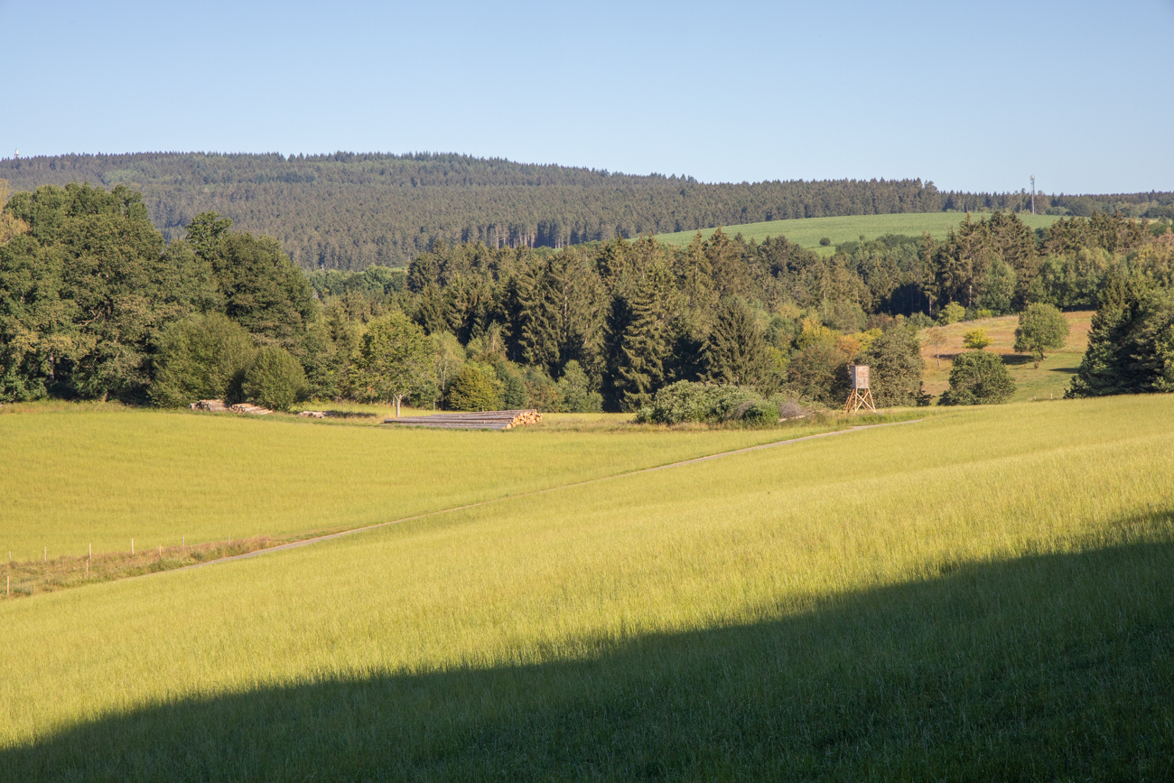 Wir nähern uns dem Ziel ...