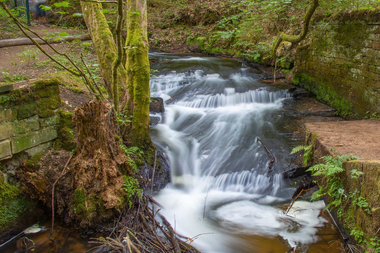 Die Moosalbe ergießt sich ... 