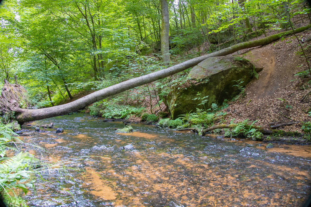 ... durch das Karlstal