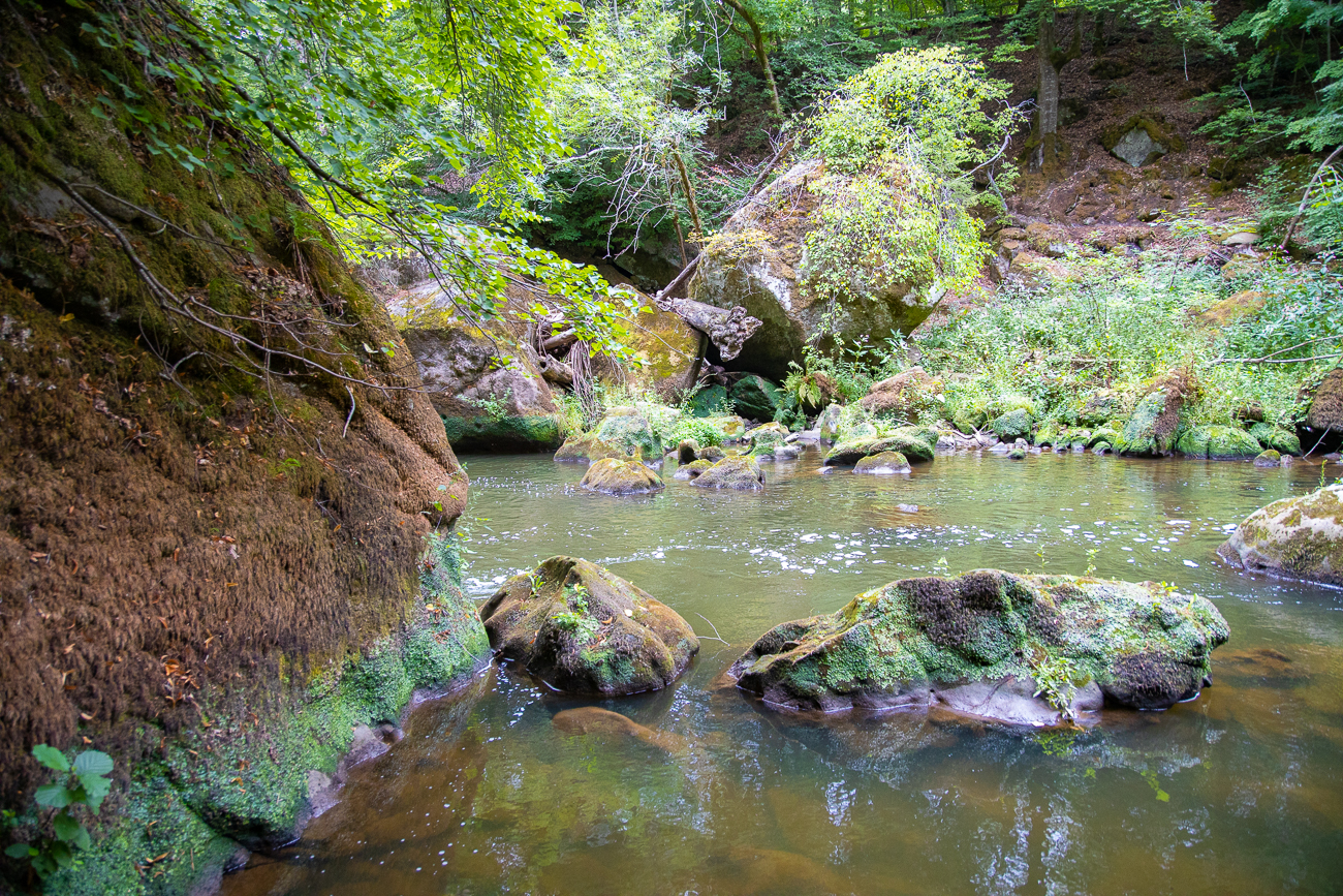 Ruhiges Wasser wechselt sich ab ...