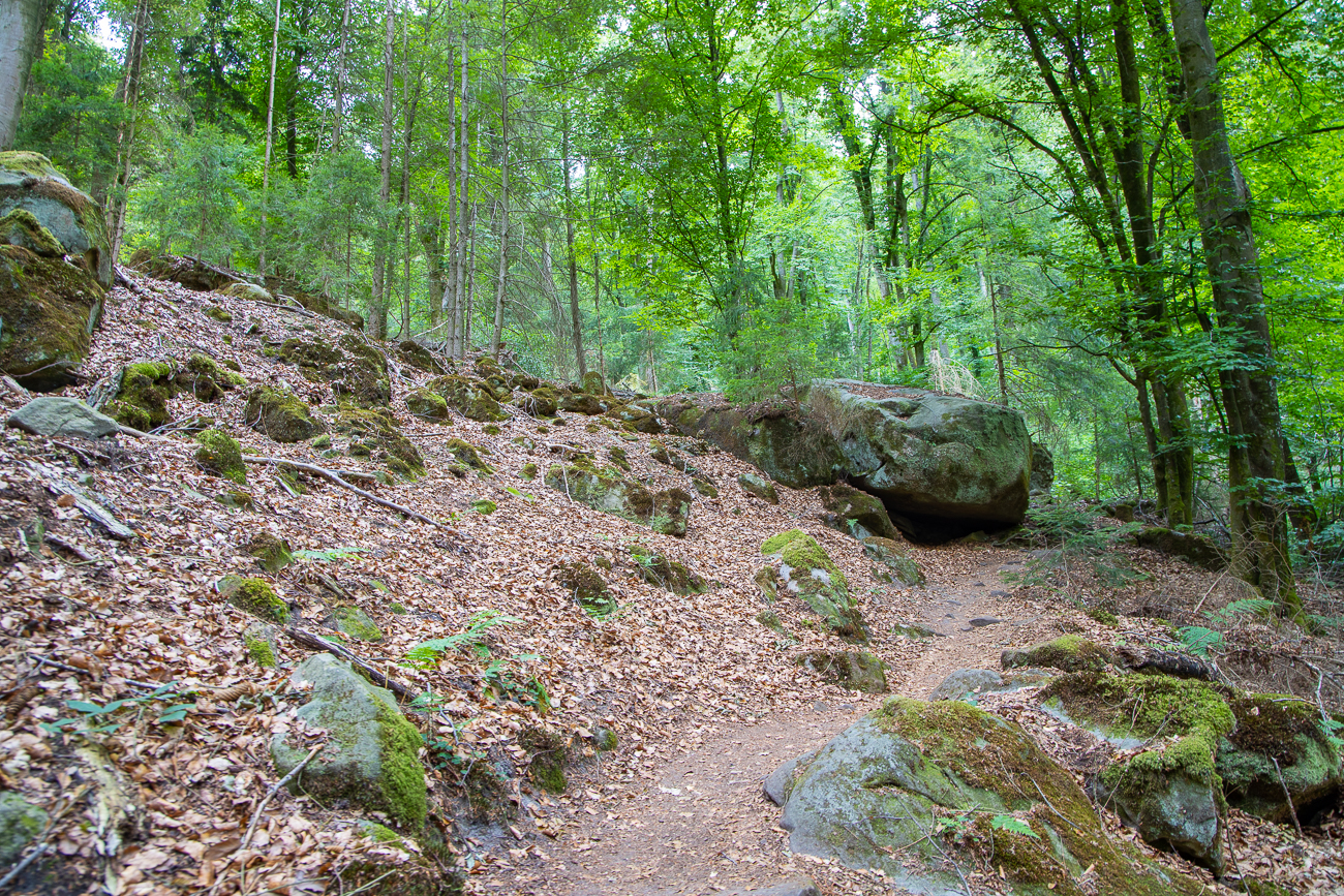 Aufstieg in die Teufelsschlucht