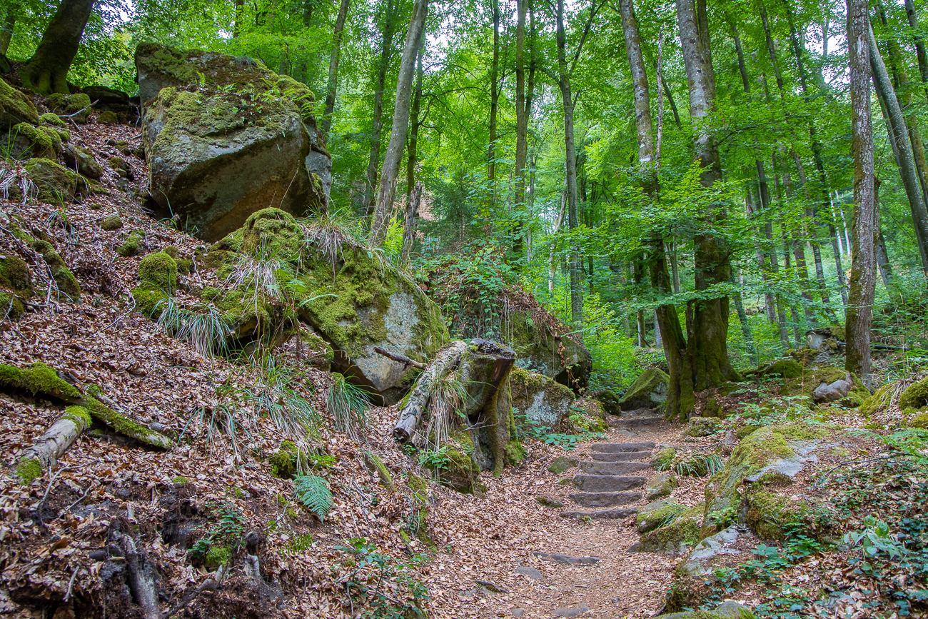 Eine ganze Weile ...