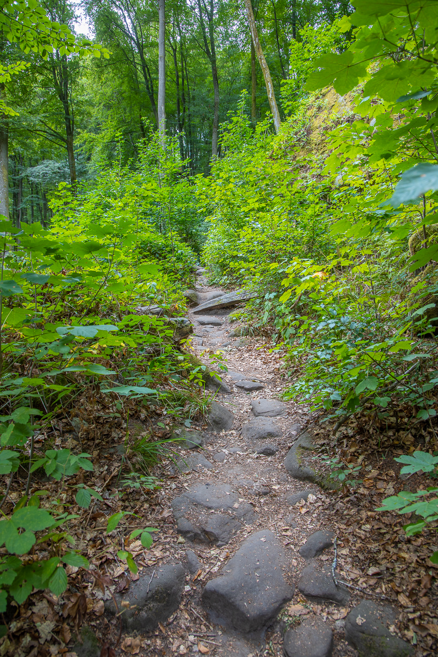 ... steigen wir den Weg hinauf