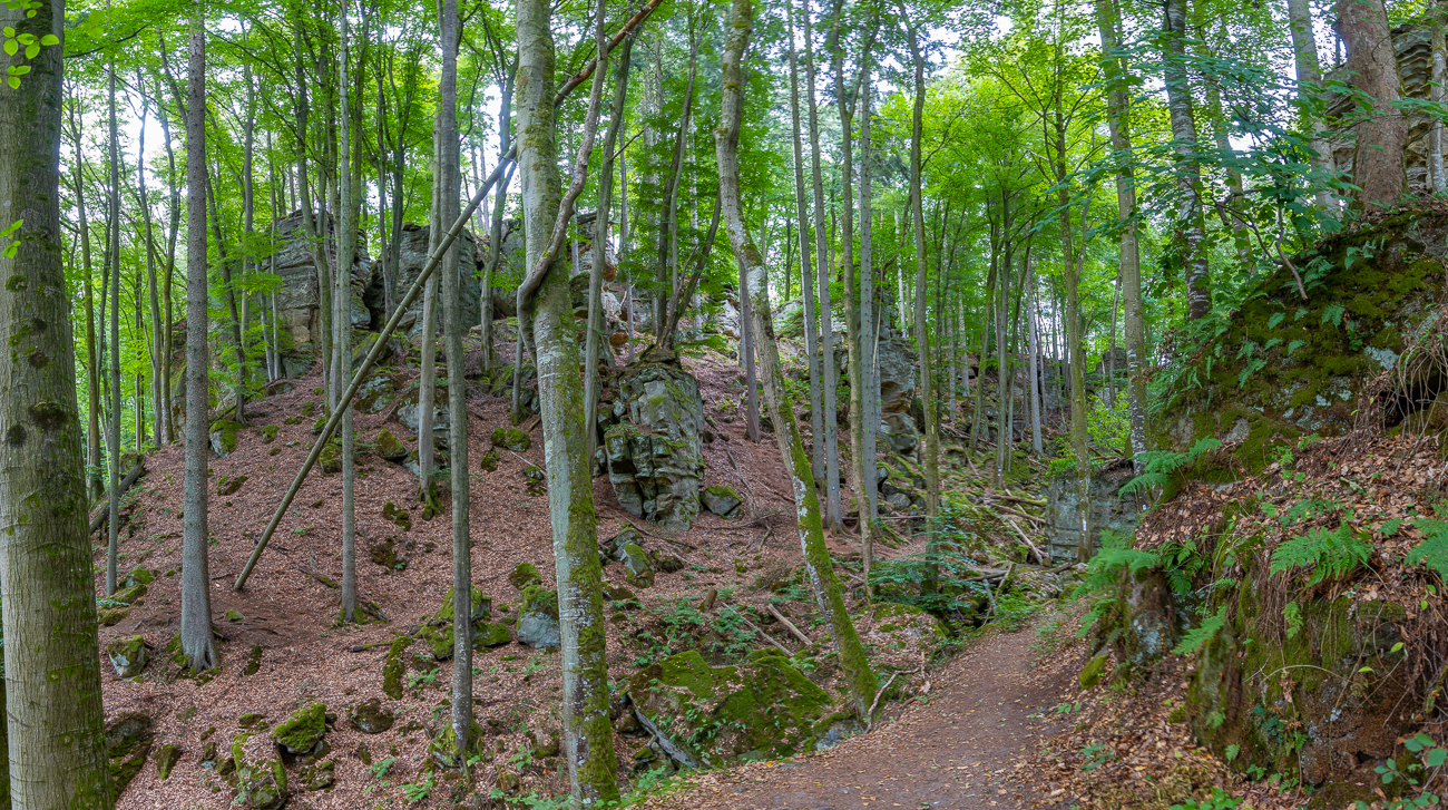 Die ersten Felsen tauchen auf