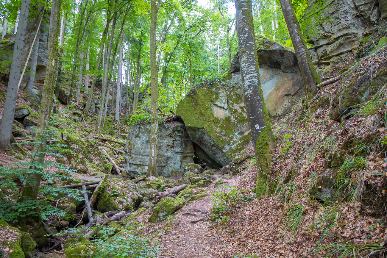 Es wird etwas unwegsamer