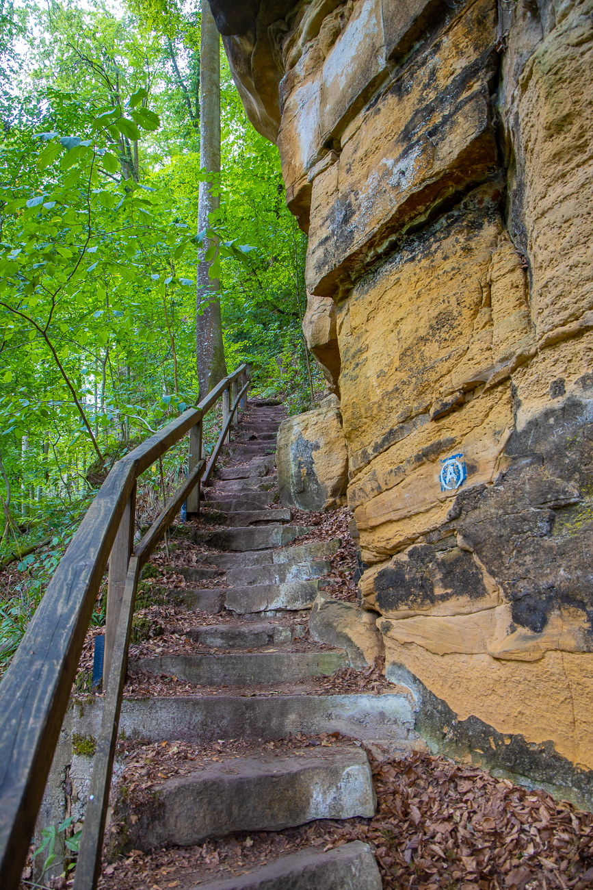 Manchmal erleichtern Treppen den Aufstieg