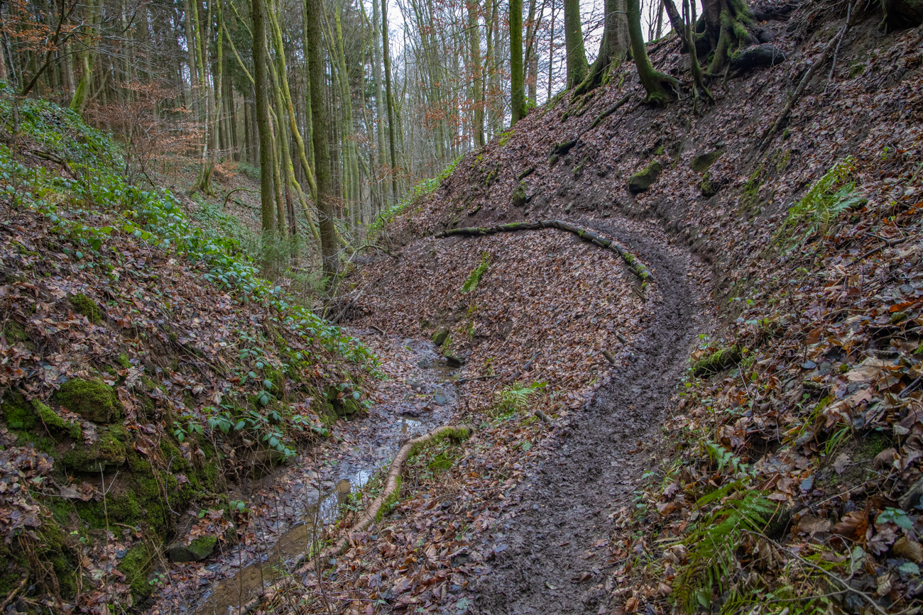 An dem Matsch werden wir noch unsere "dunkle" Freude haben