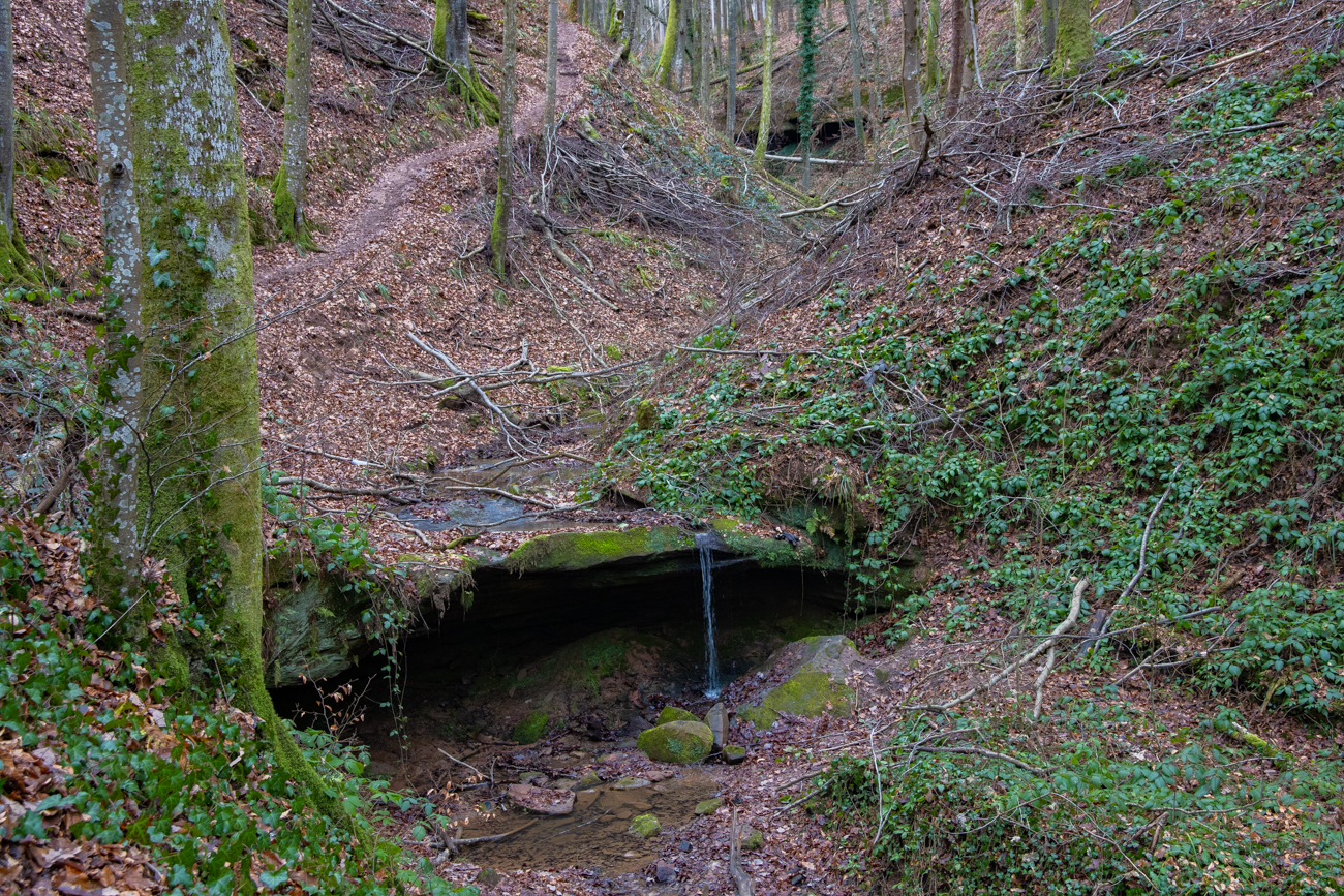 Bach durch die Klamm