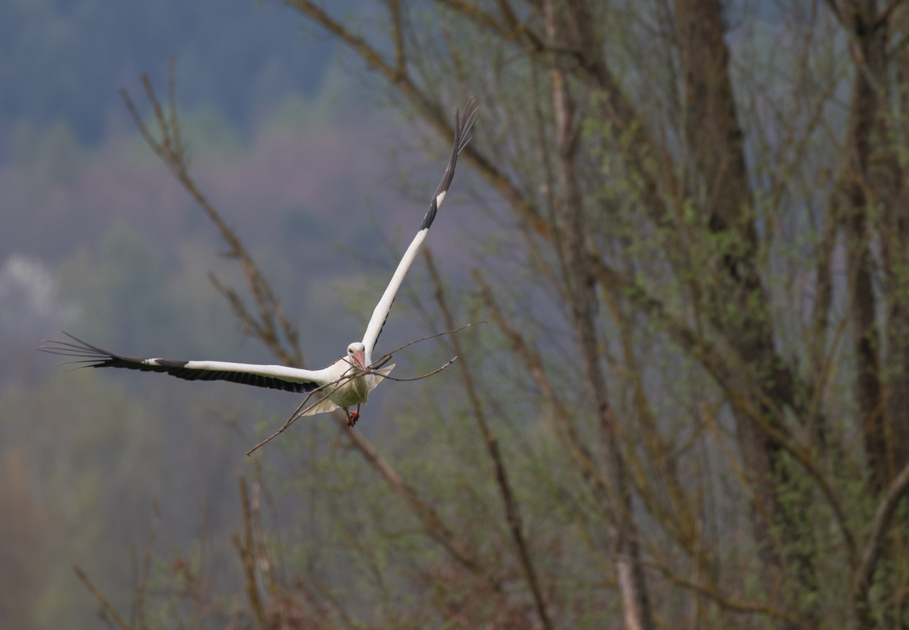 ... um an Höhe zu gewinnen ...