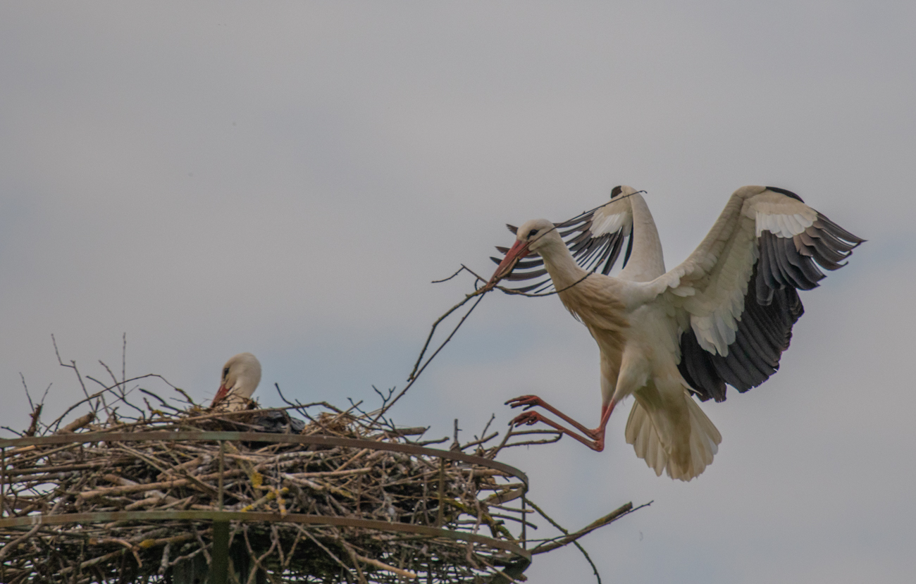 Der Partner wartet schon