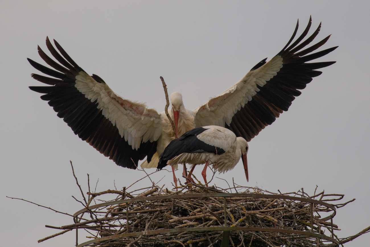 ... und Landung beim Partner