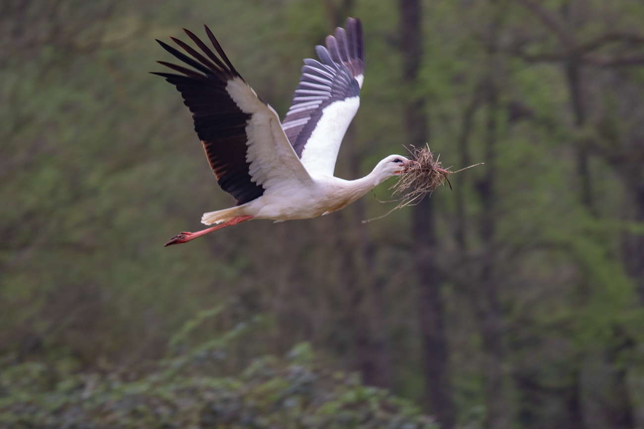 ... und per Luftfracht ...