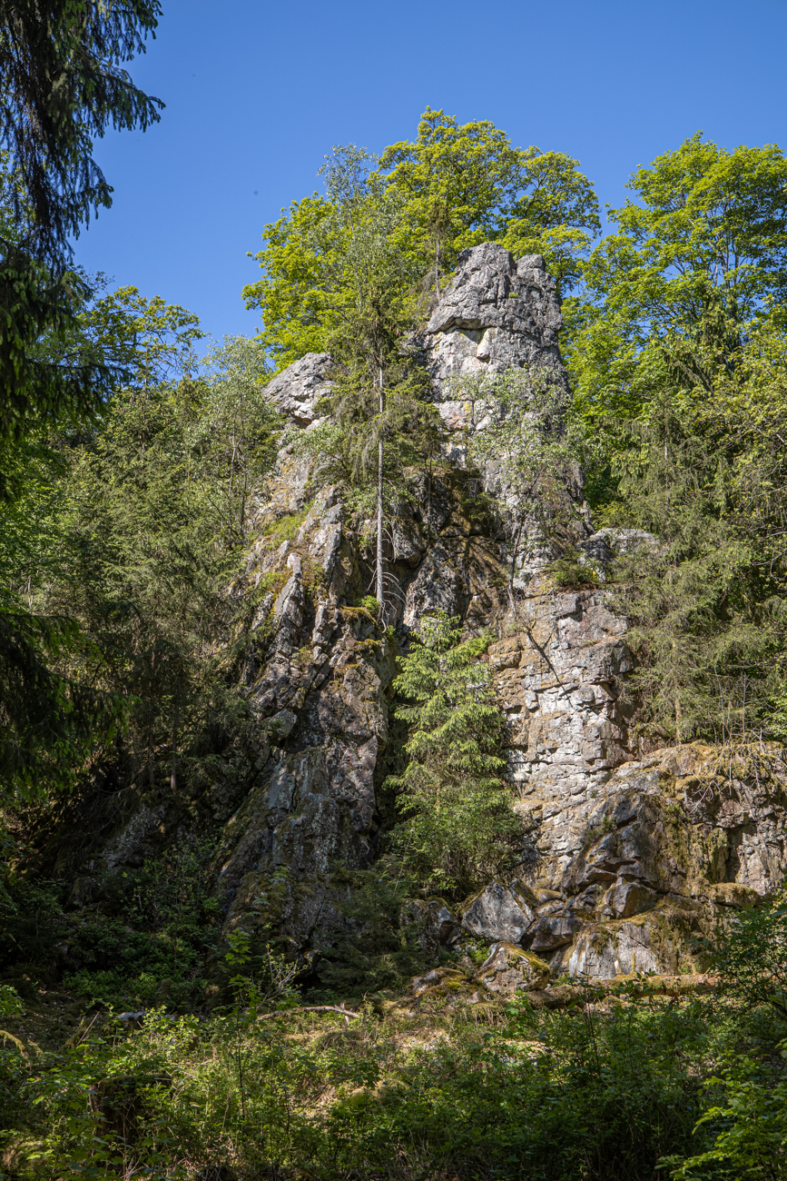 Der "Hohe Fels", typischer Taunus-Quarzit der Region Saar-Hunsrück