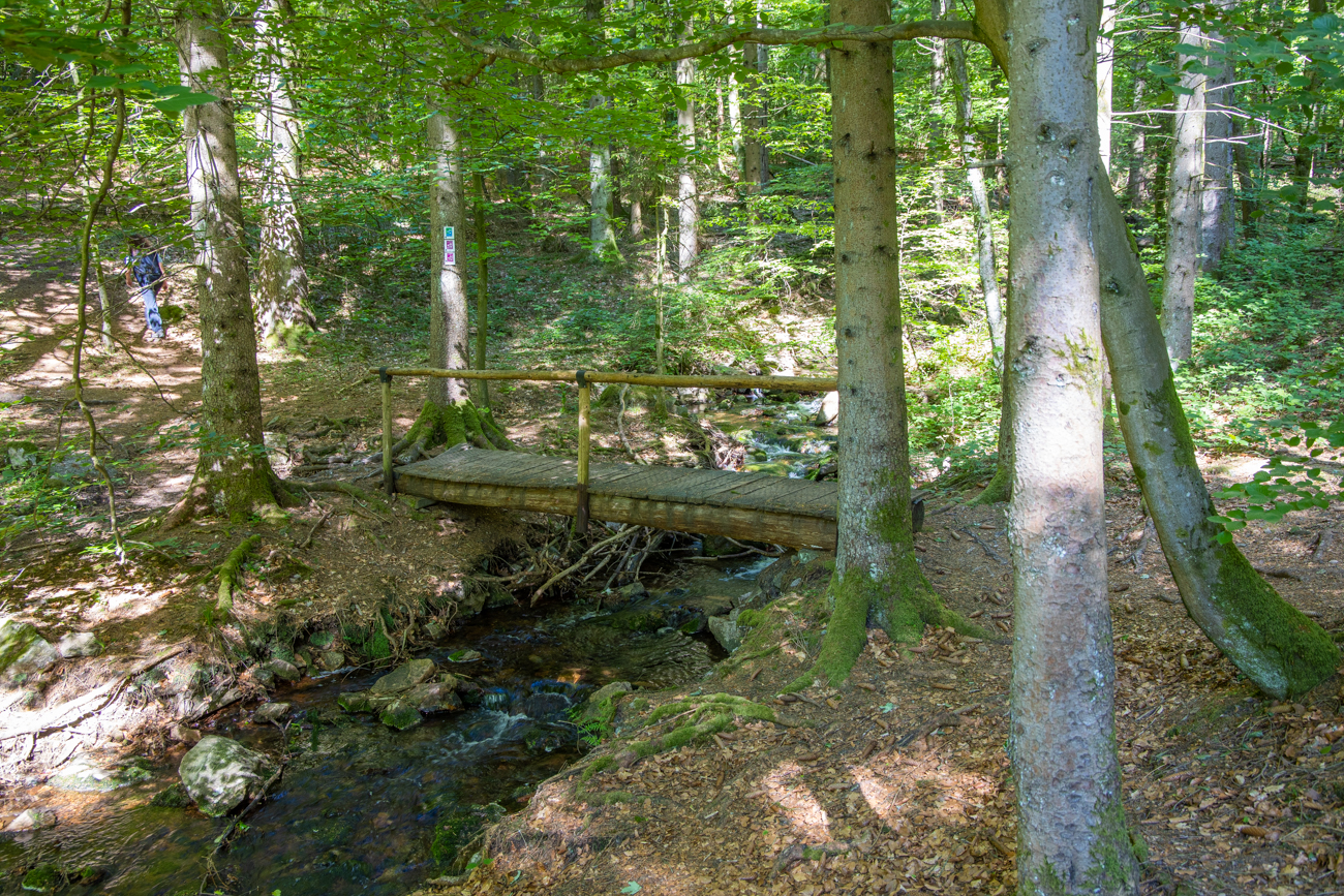 Brücke über den Holzbach