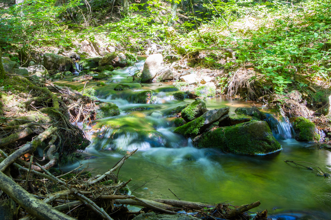 Raues Holzbachwasser