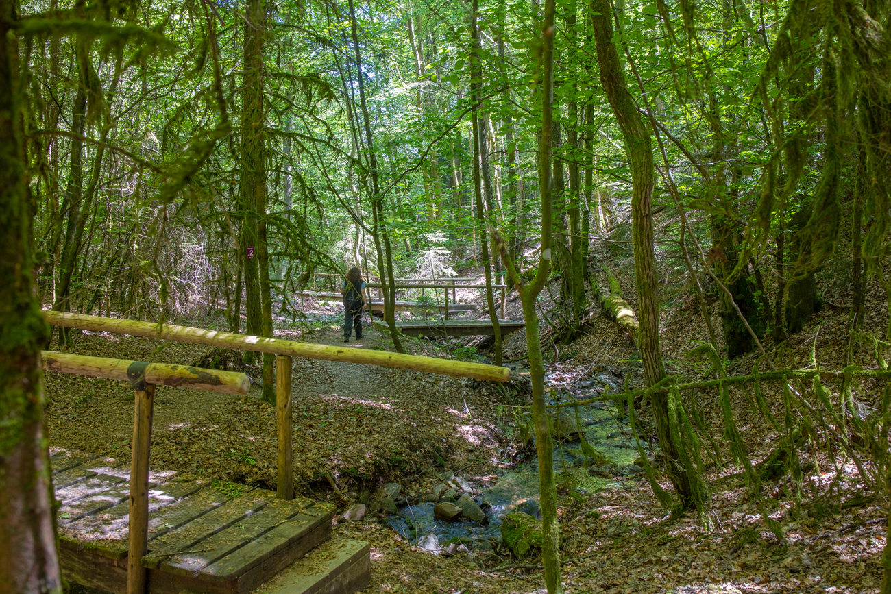 Vier Brücken über den Wahnbach